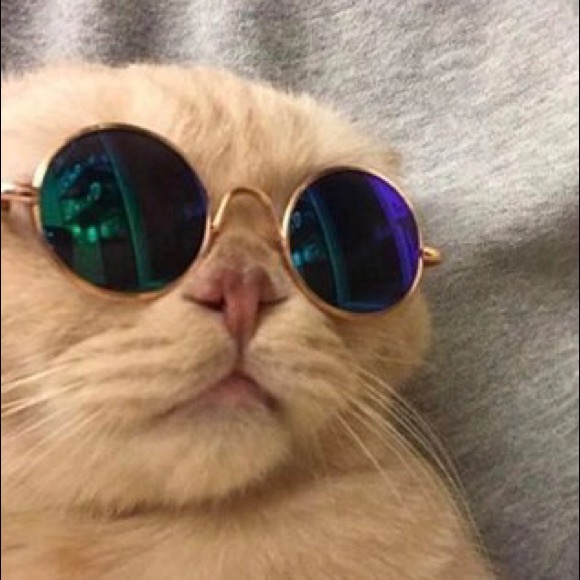 Meet your Posher, Kelly - Picture 1 of 1